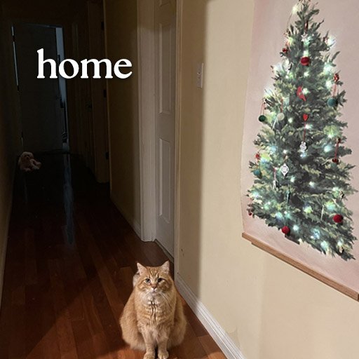 home